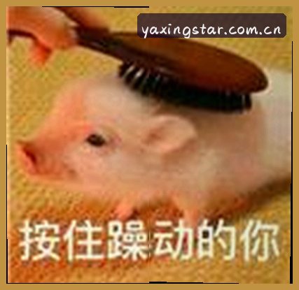 张浩